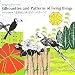 “Silhouettes and Patterns of living things”―デザイン素材集“生物のシルエット・パターン” (Design Material Book)