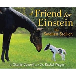 A Friend for Einstein, the Smallest Stallion