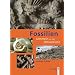 Fossilien sammeln an der Ostseek�ste: Trilobiten, Seeigel, Donnerkeile und Co. - Fossilf�hrende Gesteine des s�dwestlichen Ostseeraumes