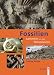 Fossilien sammeln an der Ostseeküste: Trilobiten, Seeigel, Donnerkeile und Co. - Fossilführende Gesteine des südwestlichen Ostseeraumes