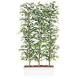 ¥¨¥Õ¥×¥é¥ó¥¿¡¼ ¿Í¹©´ÑÍÕ¿¢Êª-¥Ù¥ó¥¸¥ã¥ß¥Ê¥¹¥×¥é¥Ã¥·¥å¥Ñ¡¼¥Æ¡¼¥·¥ç¥ó-150-W100¡ßD50-¥¬¡¼¥Ç¥ó¥Ú¥Ã¥È