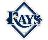 Tampa Bay Devil Rays Glass Tatz Mini-Cutz Window Decal