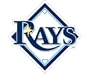 Tampa Bay Devil Rays Glass Tatz Mini-Cutz Window Decal
