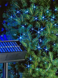 Childrens Toyshop  Outdoor Living : 50 LED Solar Powered Garden Outdoor String Light Set