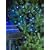 50 LED Solar Powered Garden Outdoor String Light Set