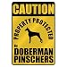 CAUTION  PROPERTY PROTECTED BY DOBERMAN PINSCHERS  PARKING SIGN DOG