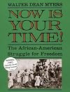 Now Is Your Time: The African-American Struggle for Freedom