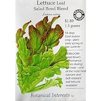Lettuce Salad Bowl Blend Certified Organic Seeds 450 Seeds