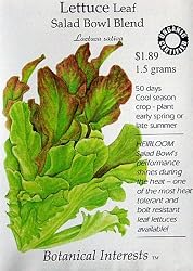 Lettuce Salad Bowl Blend Certified Organic Seeds 450 Seeds