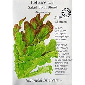 Lettuce Salad Bowl Blend Certified Organic Seeds 450 Seeds