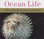 Ocean Life (Golden Photo Guide)
