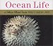 Ocean Life (Golden Photo Guide)