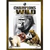 Champions of the Wild: Primates, Pandas and Bears