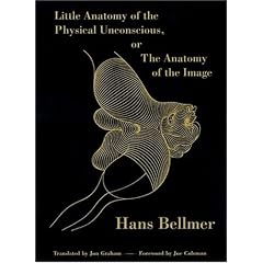 Little Anatomy of the Physical Unconscious, or the Anatomy of the Image