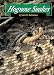 Book Hognose Snakes