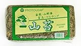 プロトリーフ 園芸用品 山苔 8L×40袋