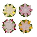 4-pc. Color Changing Water Lily Set