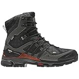 Men's Terrex Trek GTX Shoes