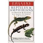 Reptiles and Amphibians of Britain and Europe (Collins Field Guide) by E. N. Arnold, John A. Burton, and D. W. Ovenden