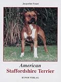American Staffordshire Terrier