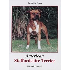 American Staffordshire Terrier