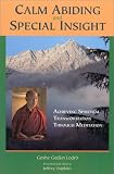 Calm Abiding and Special Insight: Achieving Spiritual Transformation Through Meditation (Textual Studies and Translations in Indo-Tibetan Buddhism)