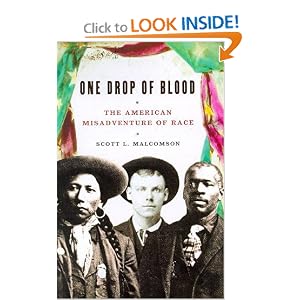 One Drop Blood American Misadventure