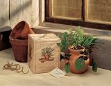 Italian Herb Garden - Terra Cotta Planter with Basil, Chives and Oregano Seeds
