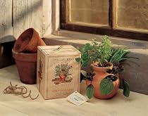 Italian Herb Garden Kit