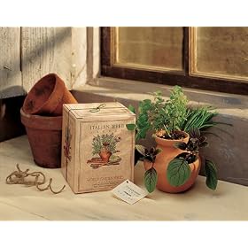 Italian Herb Garden Kit
