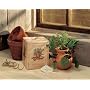 Grow Your Own Italian Herb Garden Kit
