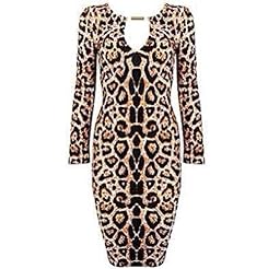 Leopard Print Nylon/Rayon/Spandex Long Sleeves Spring Summer Fitted Bandage Dress/Bodycon Dress 