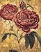 Romantic Roses II COLLECTIONS Art Poster Print by Richard Henson, 22x28