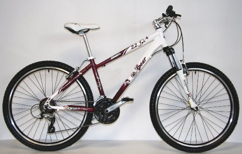 Spear 26 Zoll 66cm ALU Fahrrad Damen Mountainbike Vision V2.2 Lady Shimano Acera 24 Gang RH 36