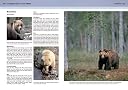 A Complete Guide to Arctic Wildlife A Complete Guide to Arctic Wildlife
