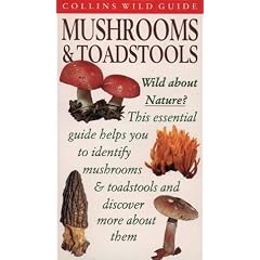 Mushrooms & Toadstools (Collins Wild Guide)