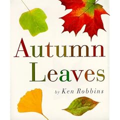 Autumn Leaves