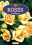 500 Popular Roses for American Gardeners