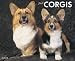 Just Corgis 2009 Calendar