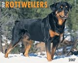 Just Rottweilers 2007 Calendar (Just)