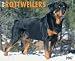 Just Rottweilers 2007 Calendar (Just)