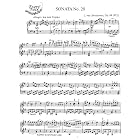 Buy Sonata No. 20 Op. 49, No. 2: Instantly download and print sheet music by  Beethoven