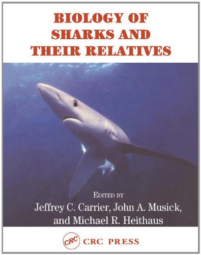 Biology of Sharks and Their Relatives (Marine Biology)