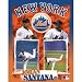 NEW YORK METS JOHAN SANTANA OFFICIAL LOGO 3D MOTION POSTER