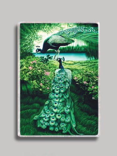 Beautiful Peacocks Refrigerator Magnet
