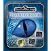 Drachenchronik W�rfelset 1