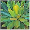Agave Poster - 40x40"