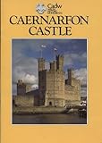 Caernarfon Castle and town walls