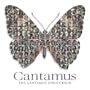 Cantamus