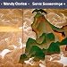 Sonic Seasonings + [Enhanced CD]